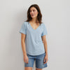 Pale Blue