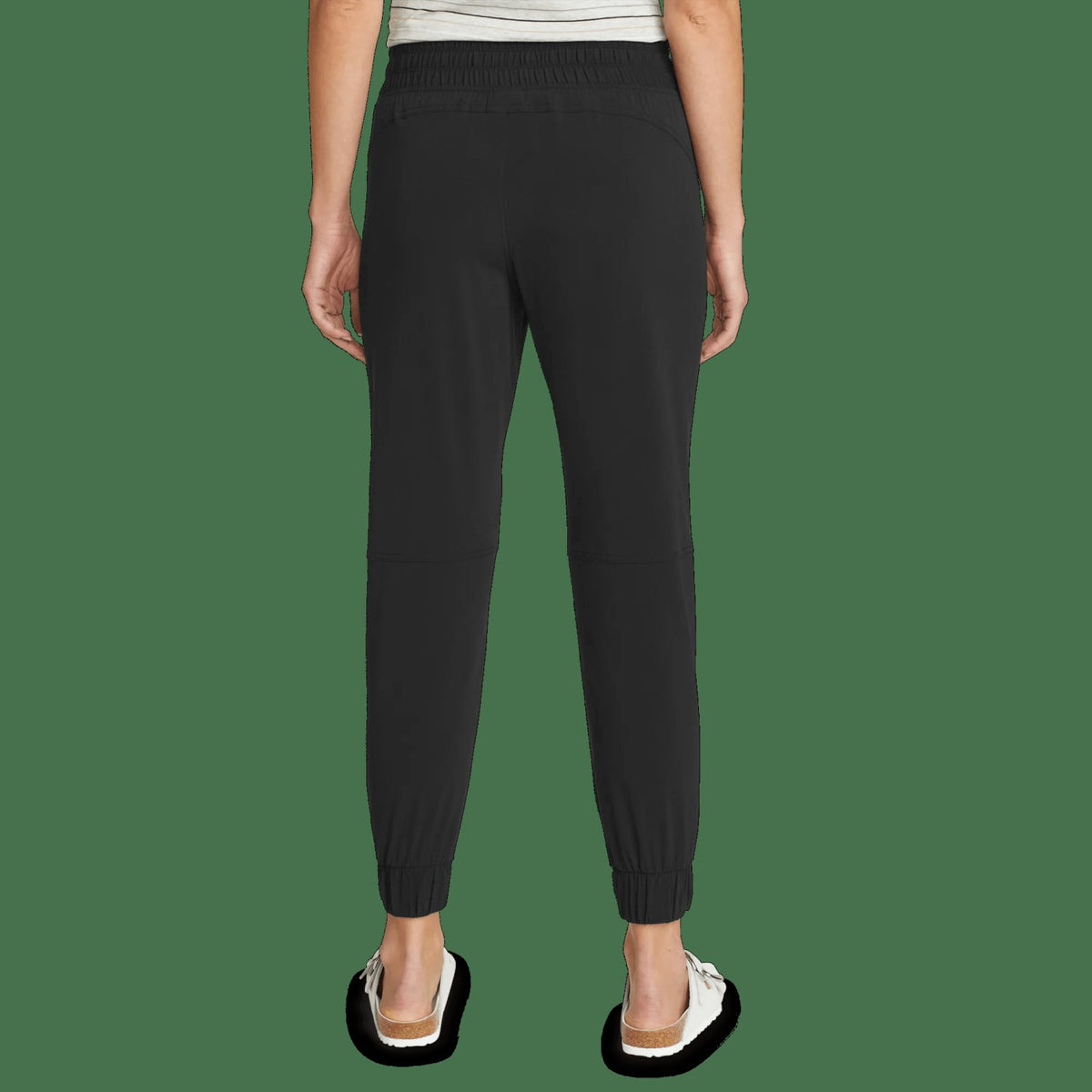 Women's Sightscape Horizon Jogger | Eddie Bauer