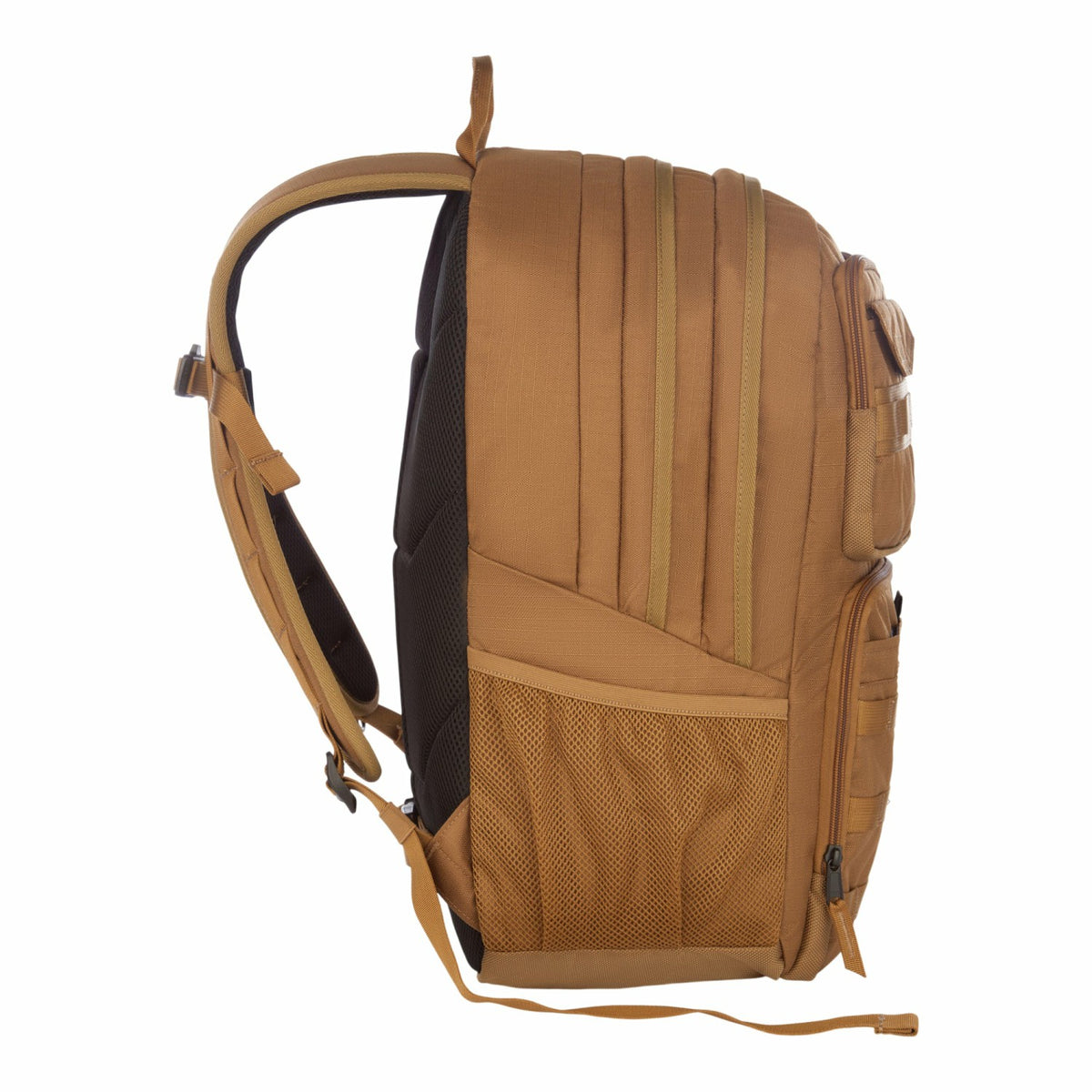 Cargo Pack 30L | Eddie Bauer