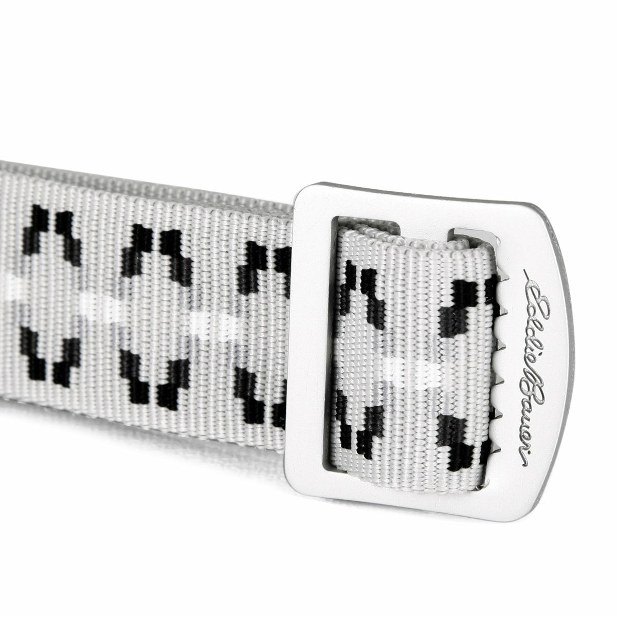 Women's Cascade Webbing Belt with Engraved Metal Buckle | Eddie Bauer