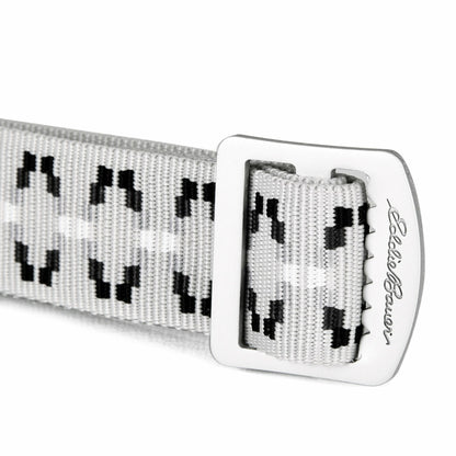 Women's Cascade Webbing Belt with Engraved Metal Buckle | Eddie Bauer