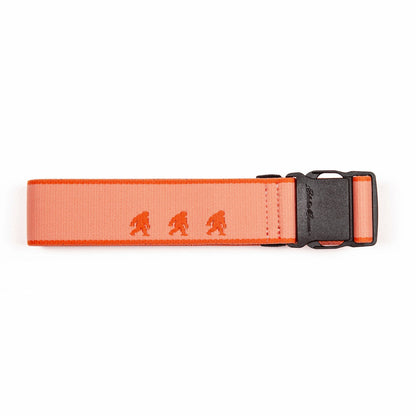 Women's Trail Active Stretch Webbing Belt - Sasquatch | Eddie Bauer