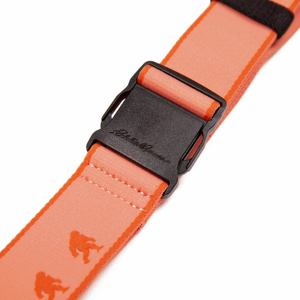 Women's Trail Active Stretch Webbing Belt - Sasquatch | Eddie Bauer