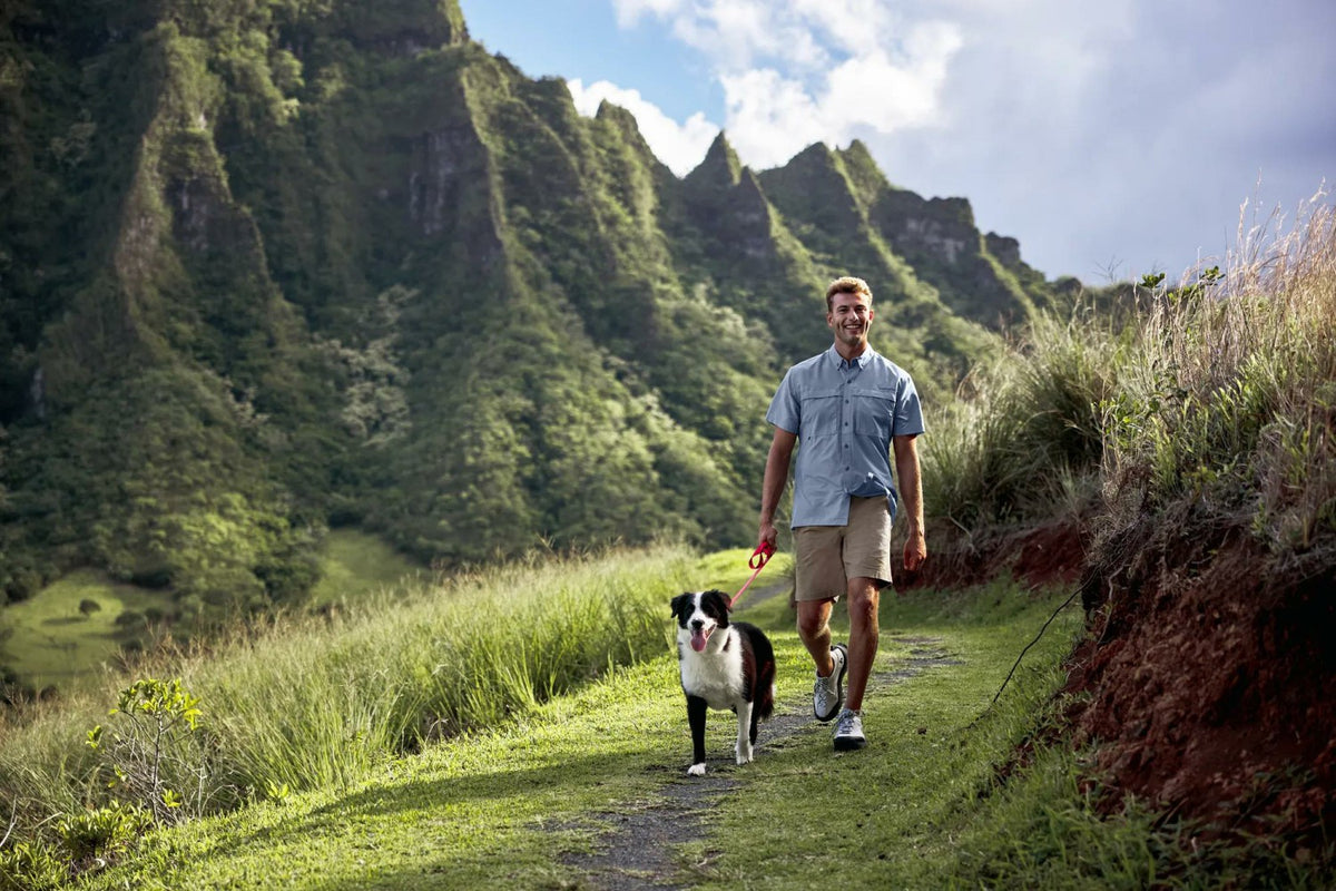 Men's SS Rainier Ripstop Shirt | Eddie Bauer