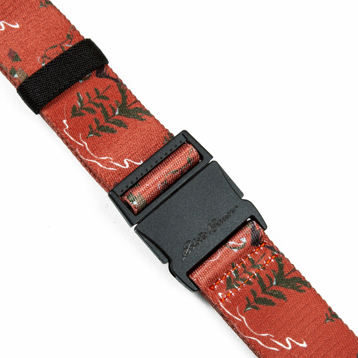 Men's Trail Graphic Active Stretch Belt | Eddie Bauer