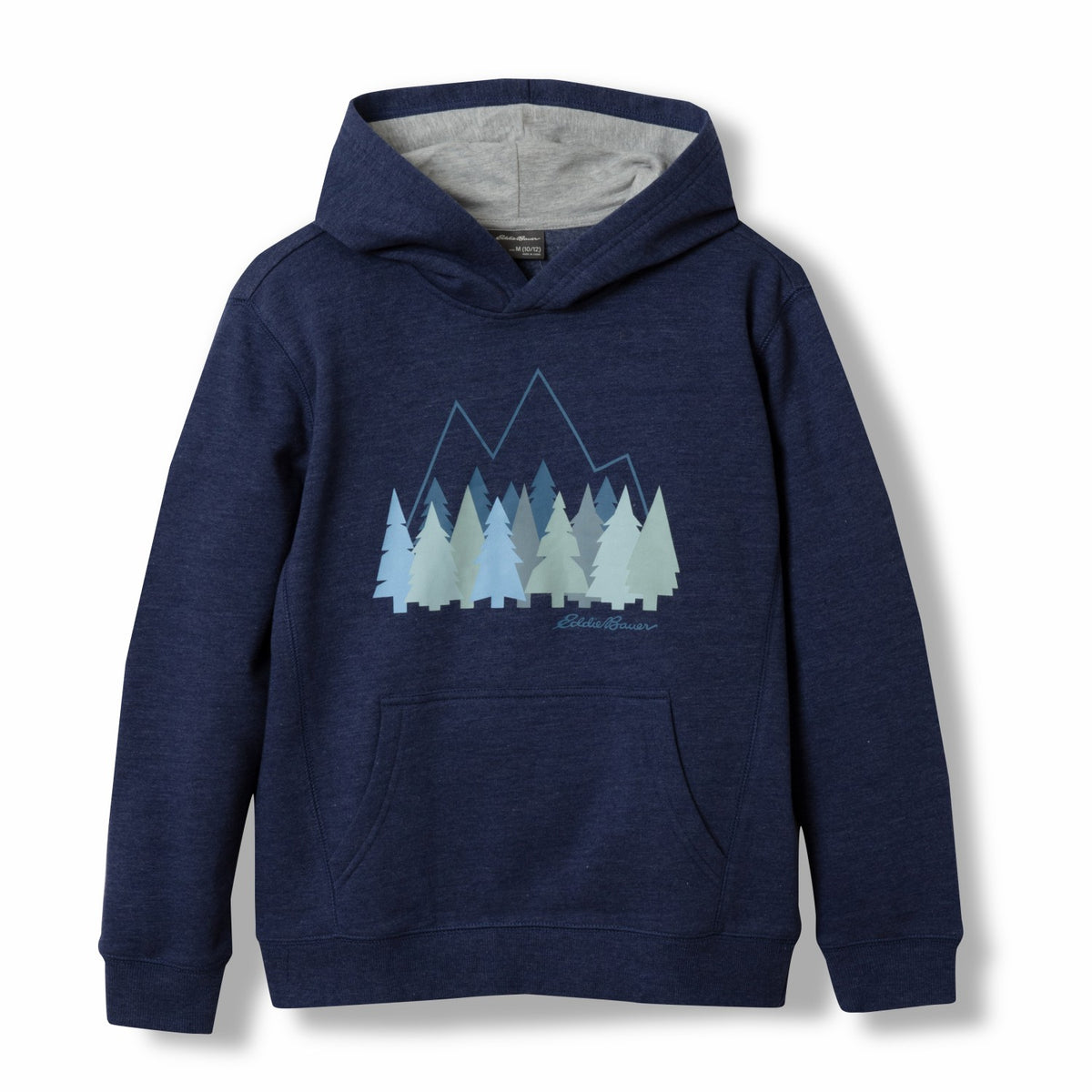 Kids Boys Graphic Camp Fleece Hoodie | Eddie Bauer