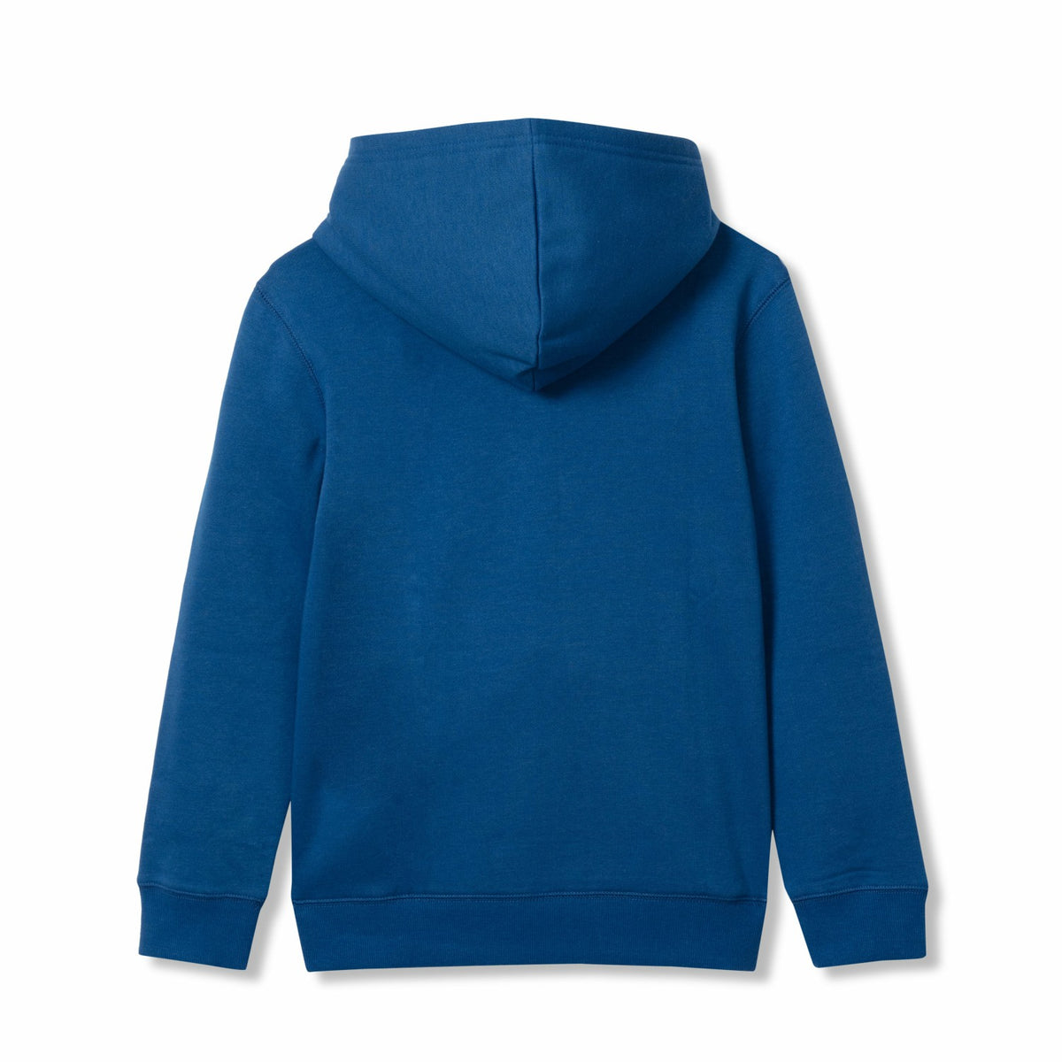 Kids Boys Graphic Camp Fleece Hoodie | Eddie Bauer