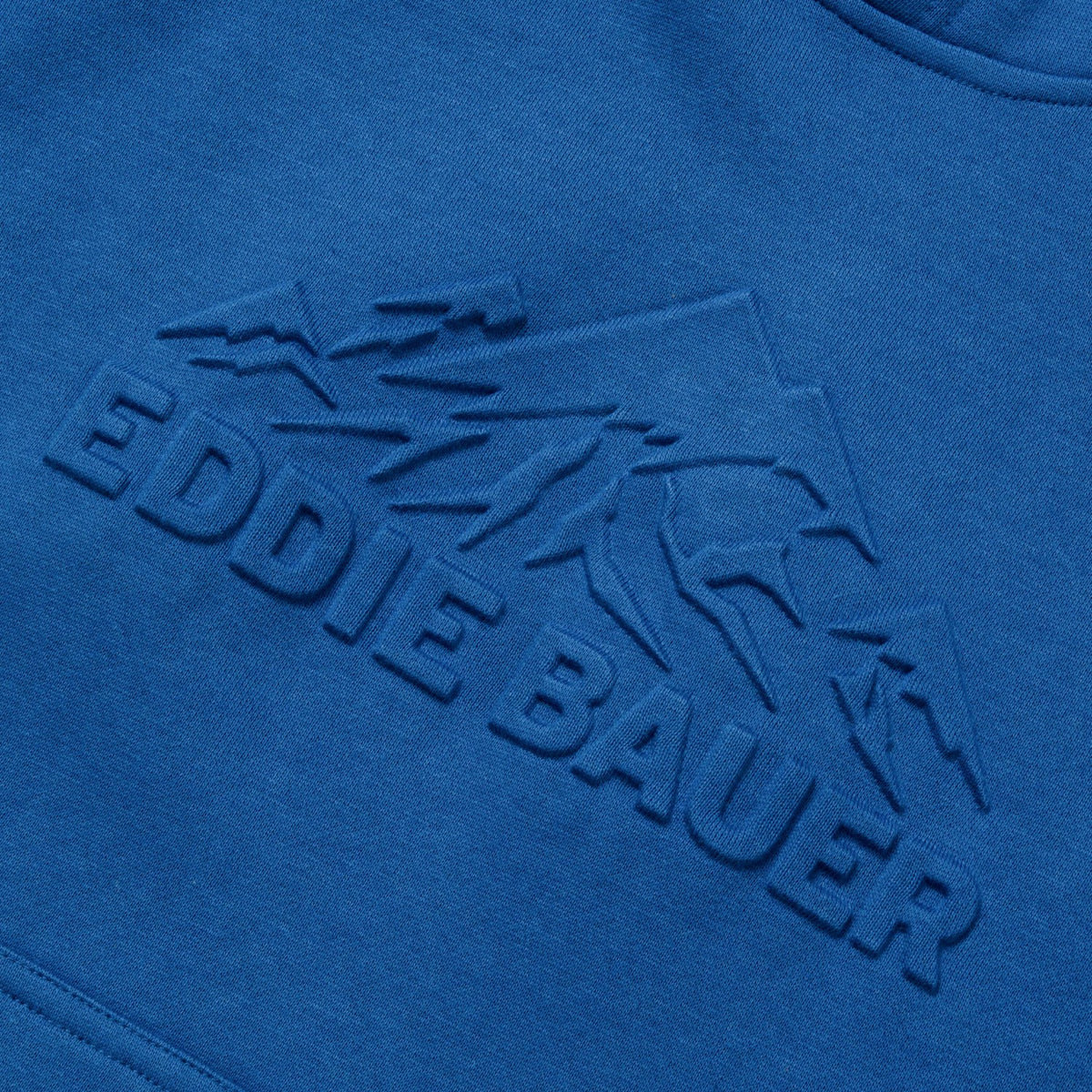Kids Boys Graphic Camp Fleece Hoodie | Eddie Bauer