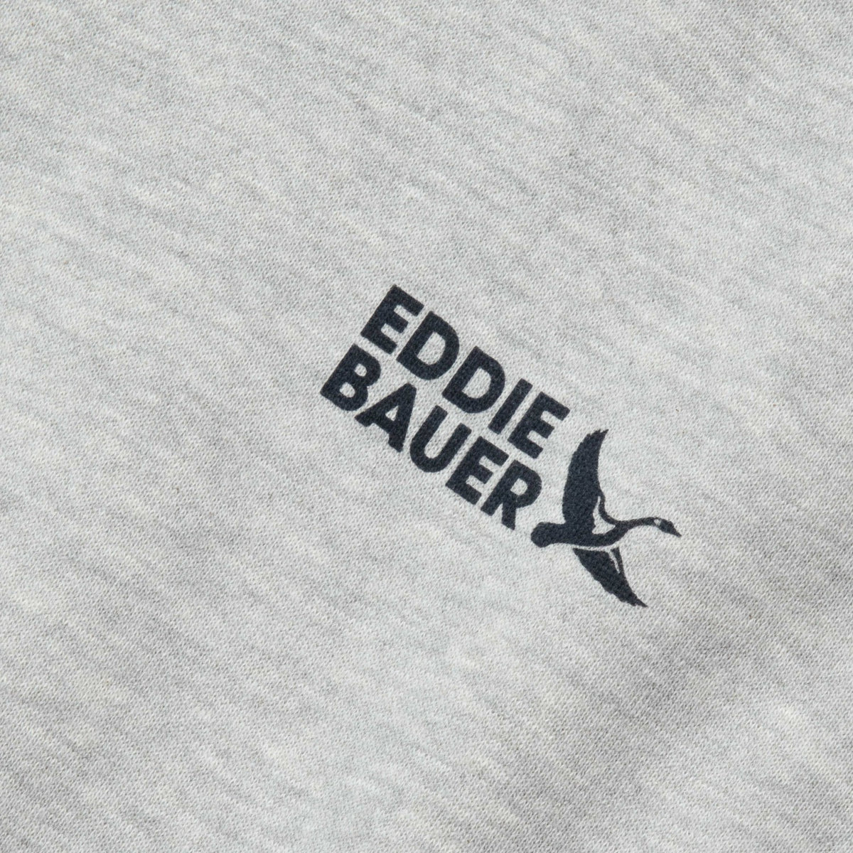 Kids Boys Graphic Camp Fleece Hoodie | Eddie Bauer