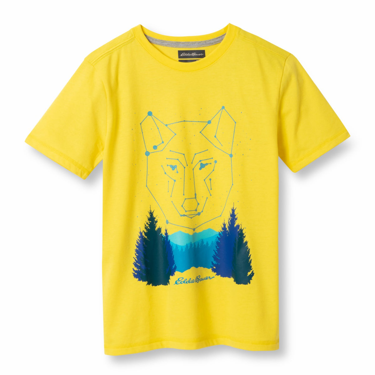 Kids Boys Graphic Short-Sleeve T-Shirt | Eddie Bauer