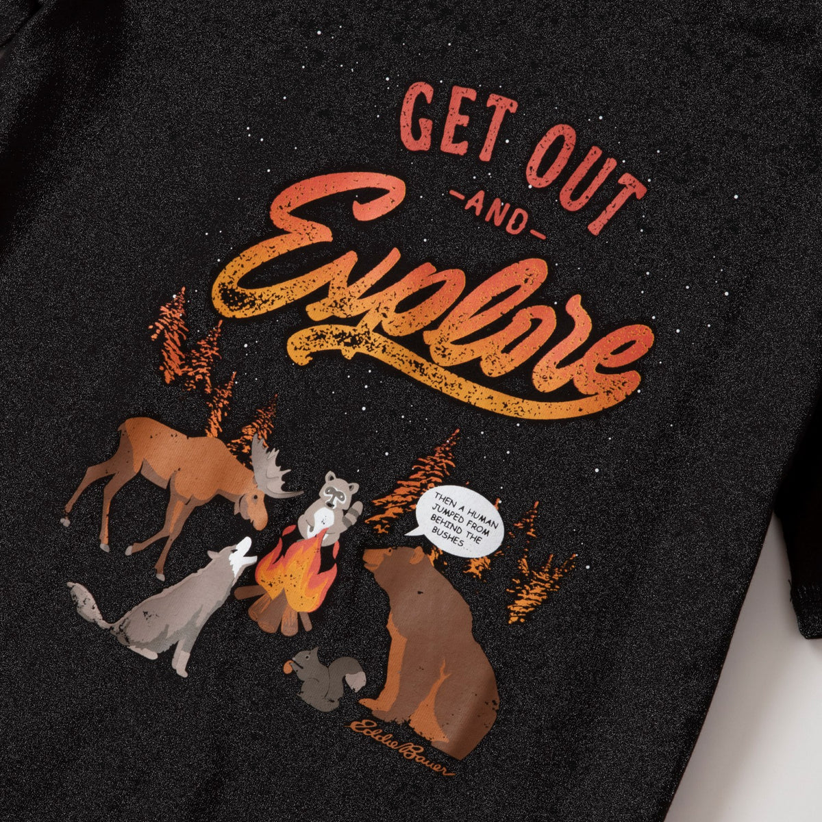 Kids Boys Graphic Short-Sleeve T-Shirt | Eddie Bauer