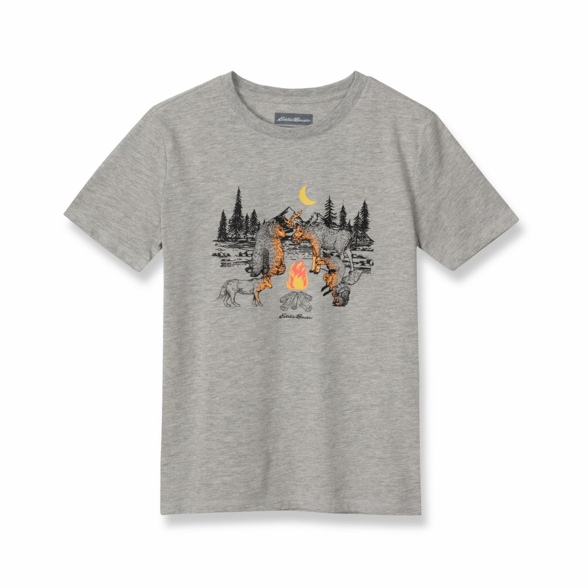 Kids Boys Graphic T-Shirt | Eddie Bauer