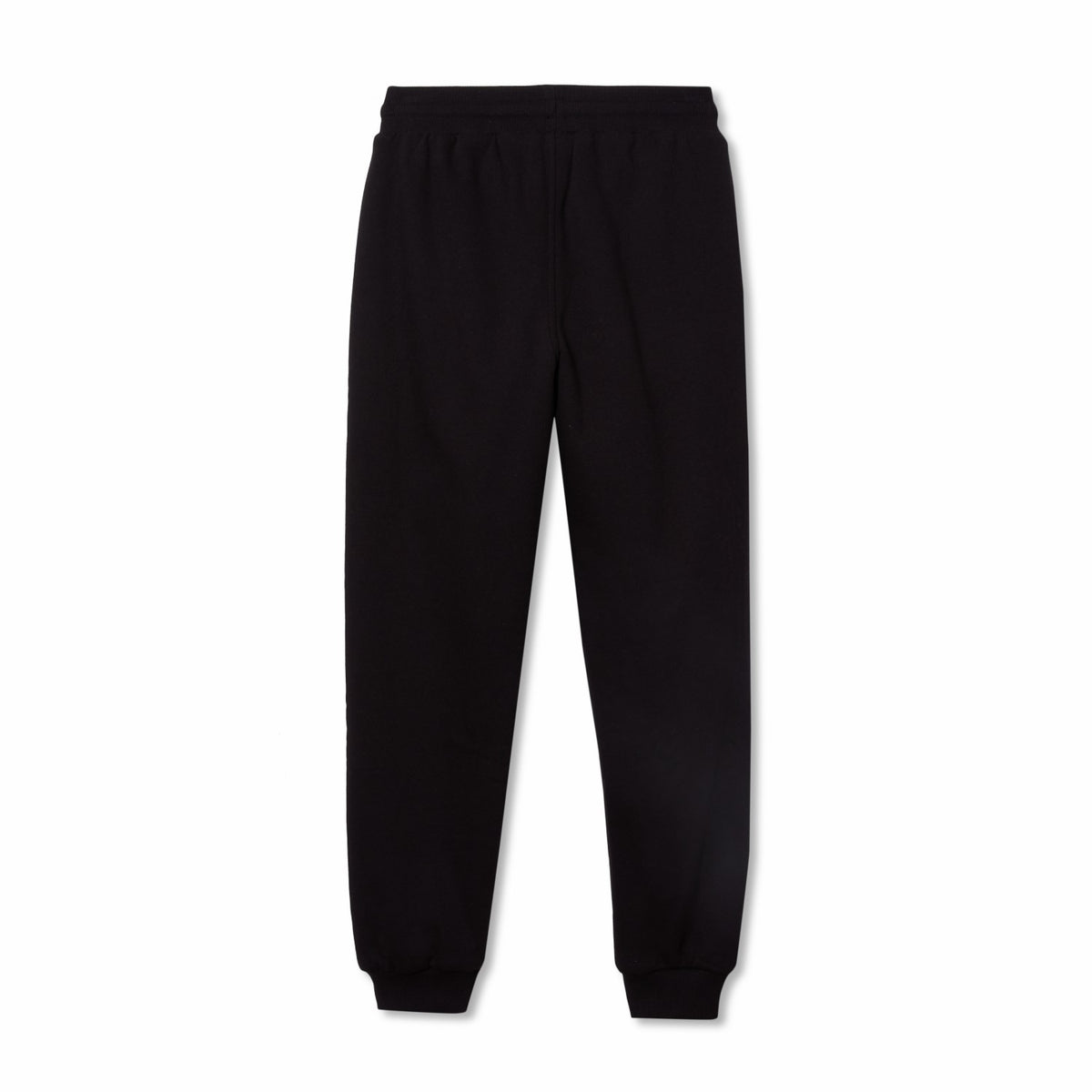 Boys Camp Fleece Faux Shearling-Lined Jogger | Eddie Bauer