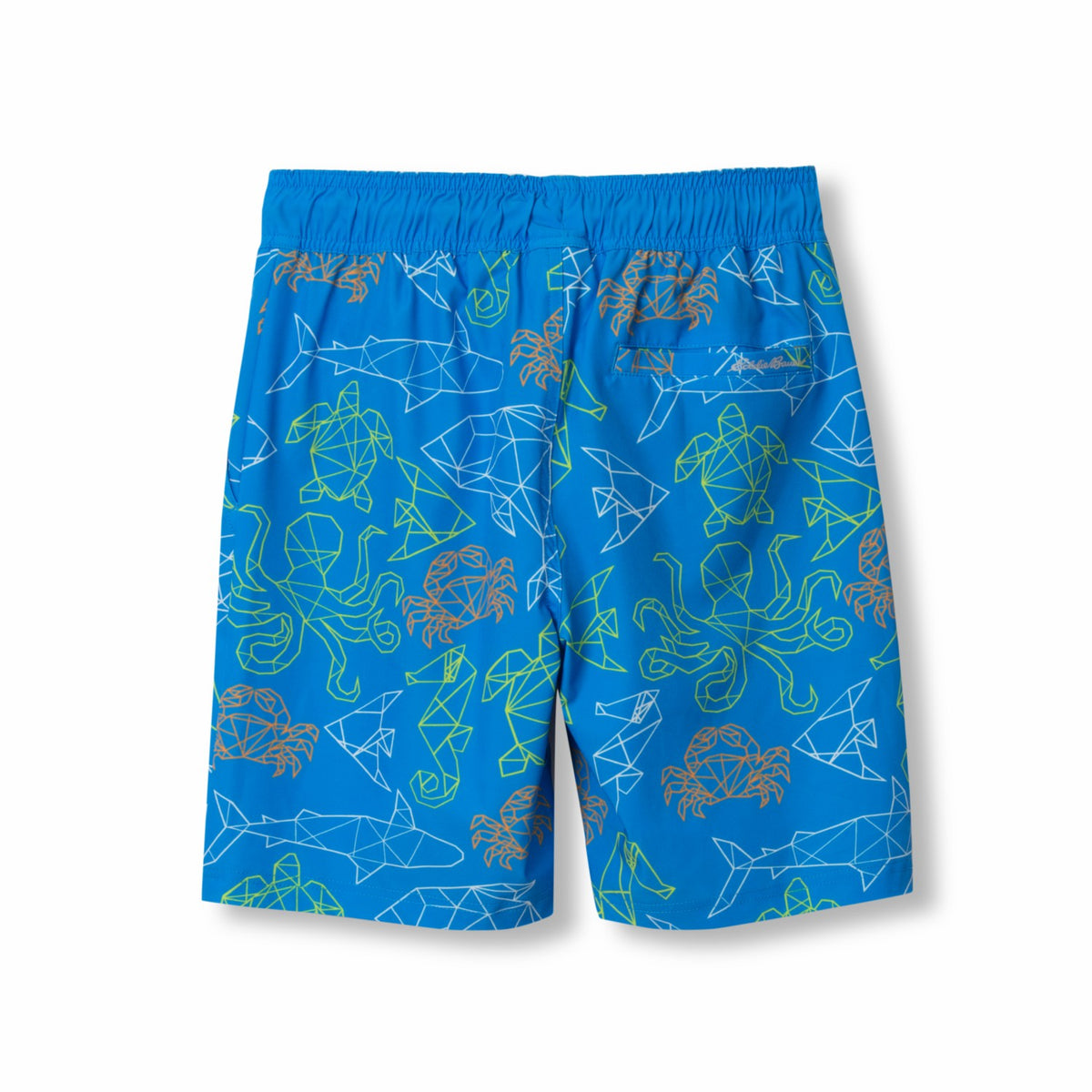 Kids Boys Sea Spray Printed Swim Shorts | Eddie Bauer