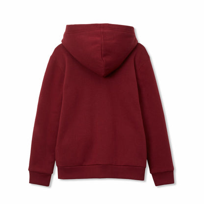Boys Camp Fleece Faux Shearling-Lined Hoodie | Eddie Bauer