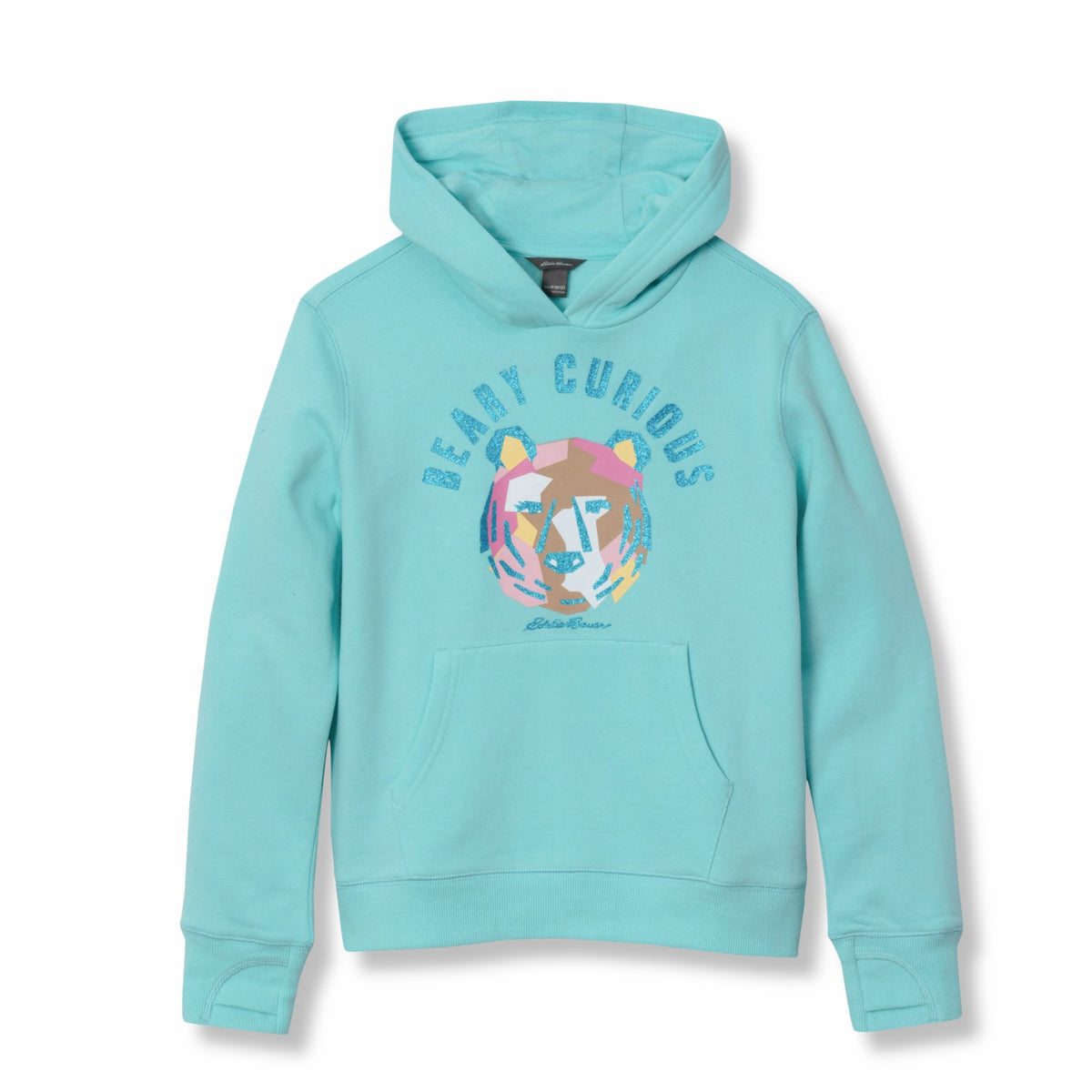 Kids Girls Graphic Camp Fleece Hoodie | Eddie Bauer