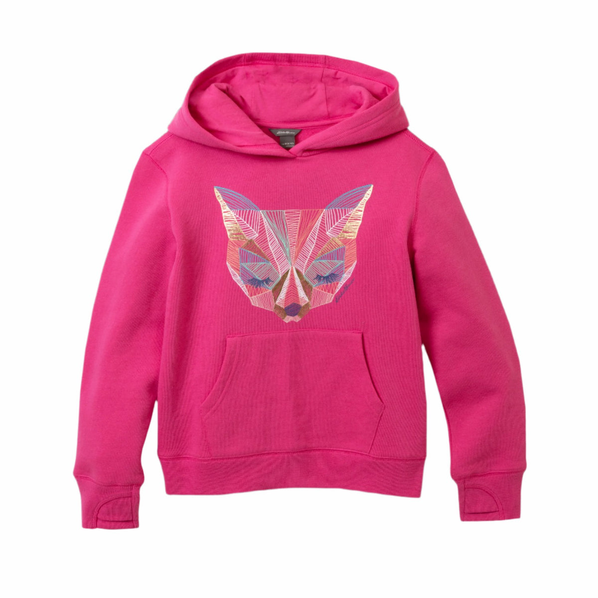 Kids Girls Graphic Camp Fleece Hoodie | Eddie Bauer