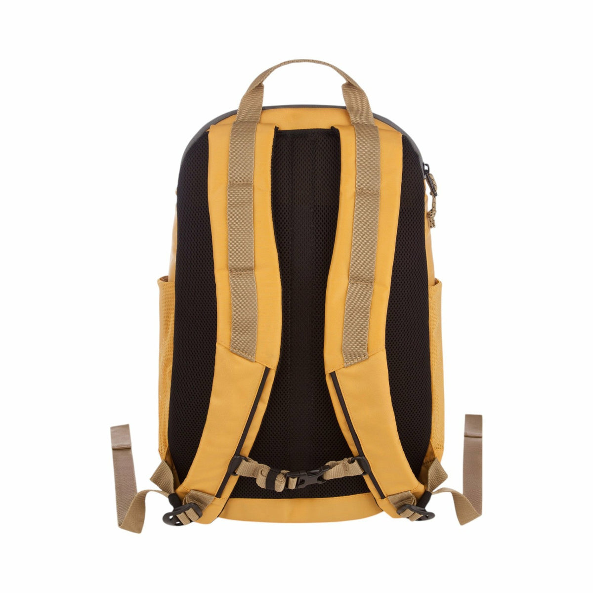 UNIVERSITY 26L BACKPACK | Eddie Bauer
