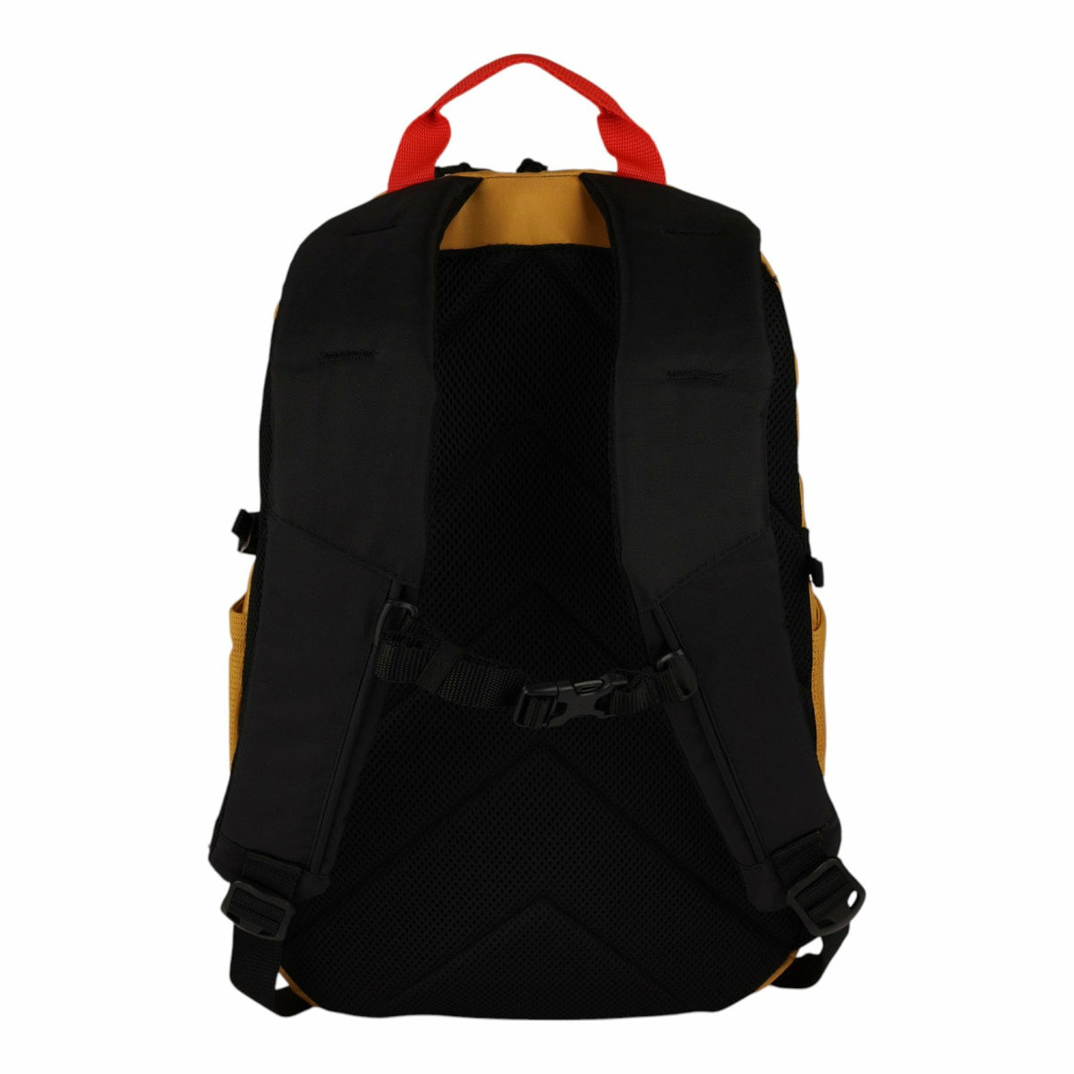 VARSITY 22L BACKPACK | Eddie Bauer
