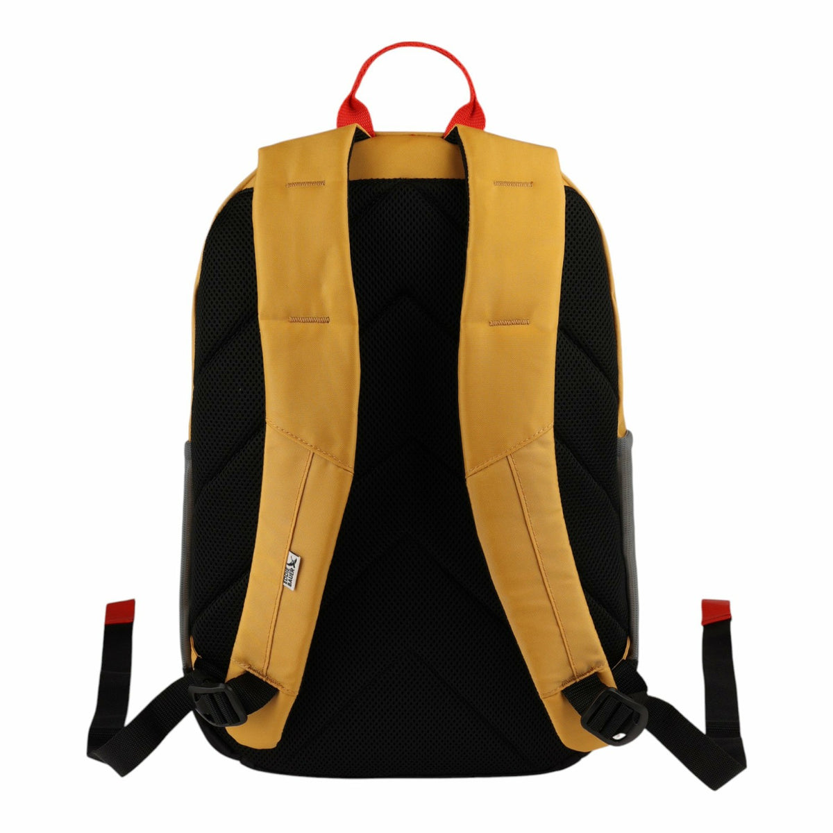 UNIVERSITY 22L BACKPACK | Eddie Bauer
