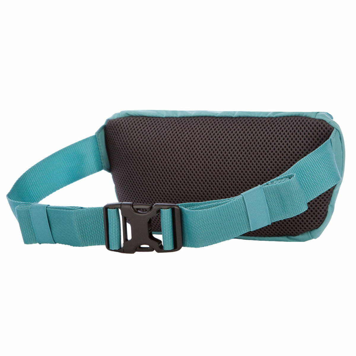 2L Transit Waist Pack | Eddie Bauer