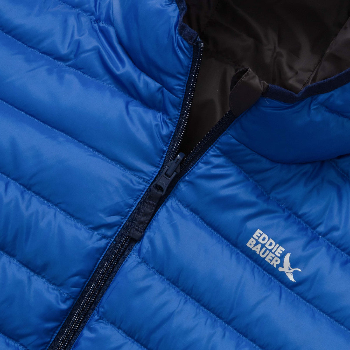 Kids Kids Reversible Cirruslite Down Hooded Jacket | Eddie Bauer