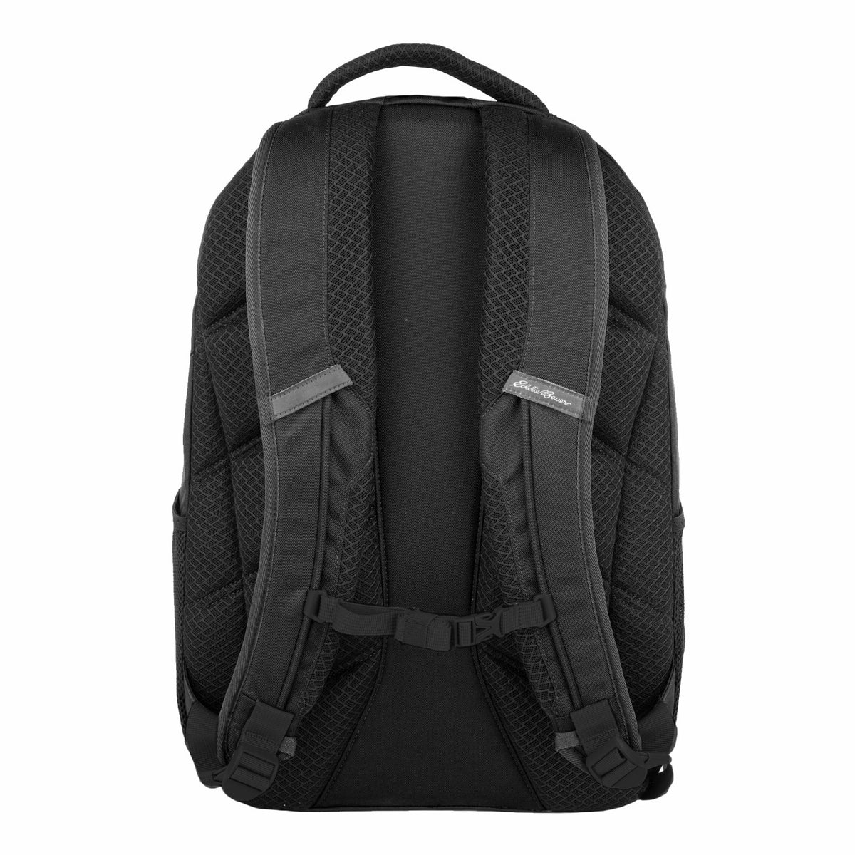 Adventurer 25L Pack | Eddie Bauer