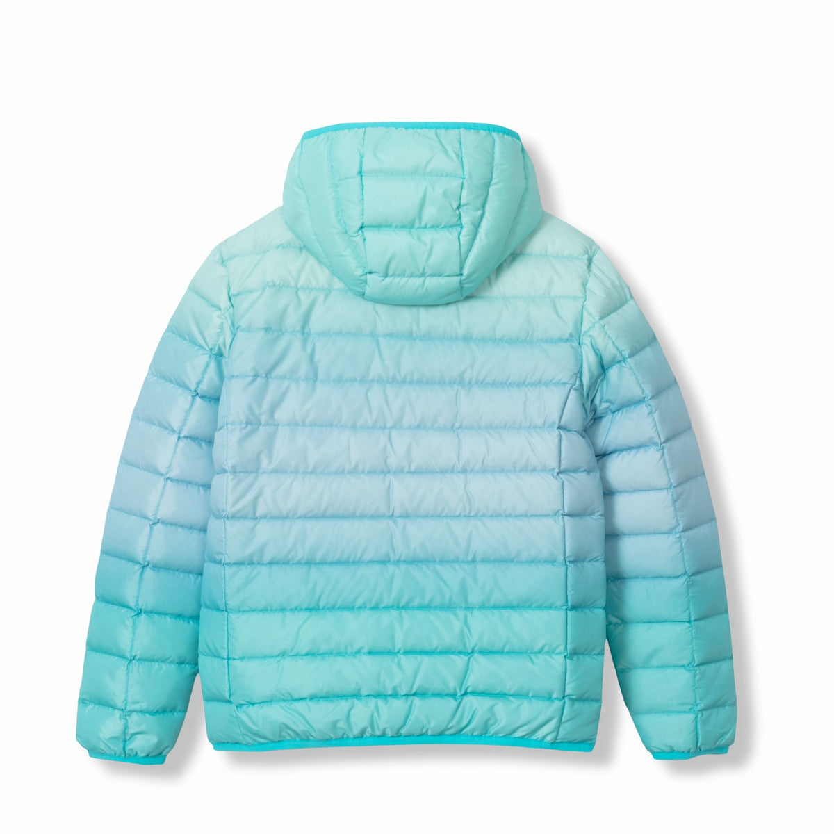 Kids Kids Cirruslite Down Hooded Jacket - Print | Eddie Bauer
