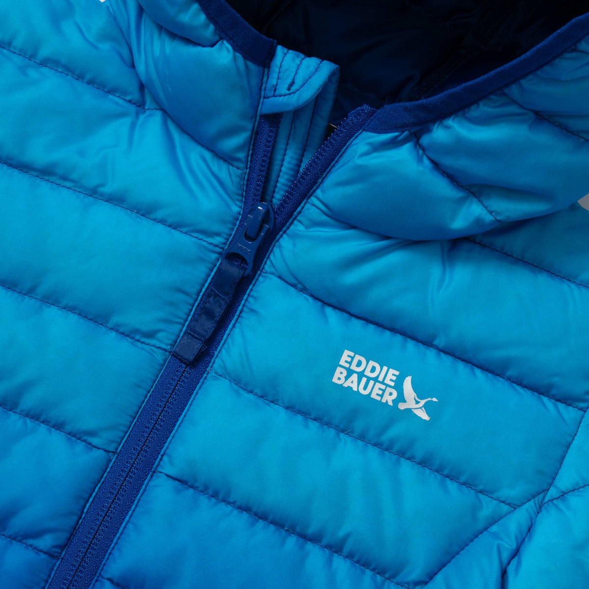 Kids Kids Cirruslite Down Hooded Jacket - Print | Eddie Bauer