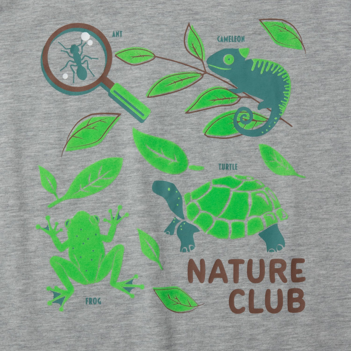 Boys SS Graphic T-Shirt | Eddie Bauer