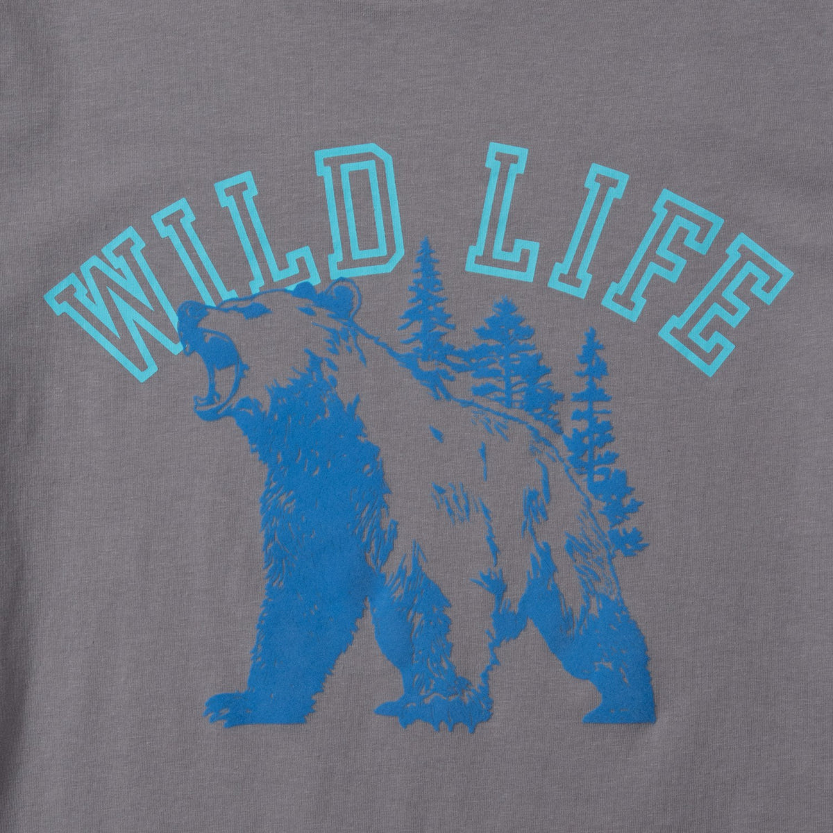 Boys SS Graphic T-Shirt | Eddie Bauer